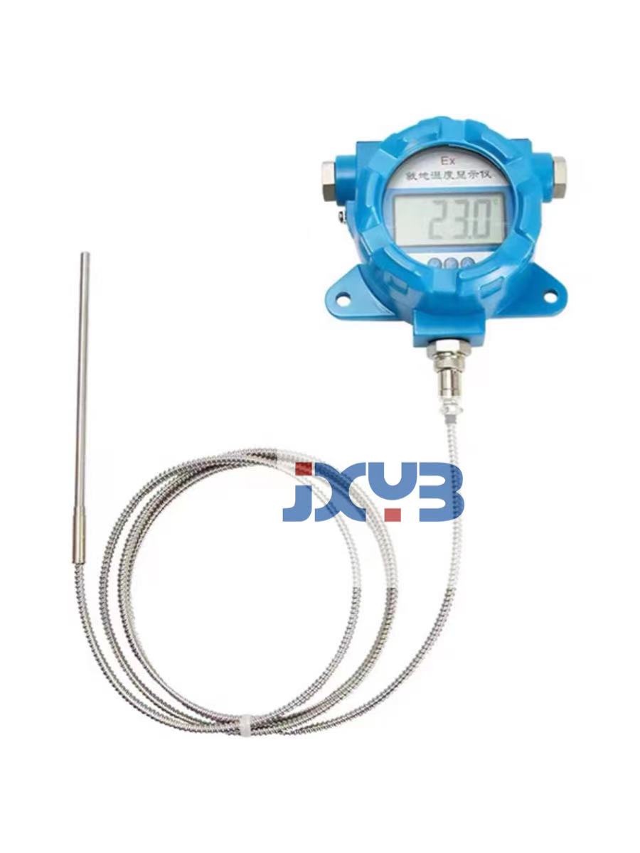 防爆數(shù)顯溫度計（分體纜式）